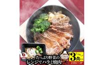 しゃぶまる特製 レンジで簡単牛ハラミ焼肉 250g×3食セット (総重量750g)野菜入り