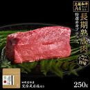 熟成肉　土佐和牛　特選赤身ブロック　約250g　田野屋銀象完全天日塩付き【ポイント交換専用】