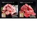 熟成肉　土佐和牛詰め合わせ6種　田野屋銀象完全天日塩付き