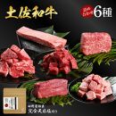 熟成肉　土佐和牛詰め合わせ6種　田野屋銀象完全天日塩付き