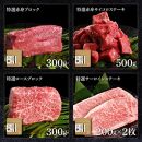 熟成肉　土佐和牛詰め合わせ8種Aセット　田野屋銀象完全天日塩付き