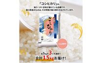 【3ヶ月定期便】計約15kg おいしいコシヒカリ約5kg