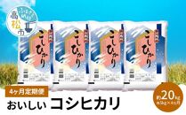 【4ヶ月定期便】計約20kg おいしいコシヒカリ約5kg