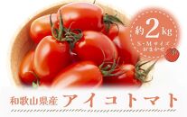 【2024年12月出荷分】和歌山産ミニトマト「アイコトマト」約2kg（S・Mサイズおまかせ）【TM158】