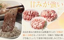 ひかり麦豚 焼肉セット 600g（ 300g×2パック ）＋ 楽塩の粗びき塩こしょう