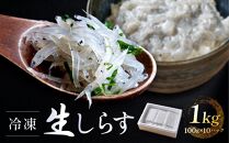 冷凍生しらす　1kg（100g × 10）静岡県御前崎産  生しらす丼 10杯分 小分け 個包装 便利 大容量 徳用 海鮮丼  使いやすい食べきりサイズ どんぶり 刺身 おつまみ おかず 惣菜 晩ごはん