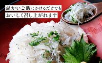 冷凍生しらす　1kg（100g × 10）静岡県御前崎産  生しらす丼 10杯分 小分け 個包装 便利 大容量 徳用 海鮮丼  使いやすい食べきりサイズ どんぶり 刺身 おつまみ おかず 惣菜 晩ごはん