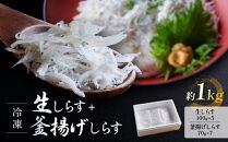 冷凍生しらす＋釜揚げしらすセット 約1kg（生しらす100g × 5・釜揚げしらす70g × 7）静岡県御前崎産 しらす丼  小分け 個包装 便利 大容量 徳用  海鮮丼 どんぶり 刺身 おつまみ おかず 惣菜 晩ごはん