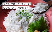 冷凍生しらす＋釜揚げしらすセット 約1kg（生しらす100g × 5・釜揚げしらす70g × 7）静岡県御前崎産 しらす丼  小分け 個包装 便利 大容量 徳用  海鮮丼 どんぶり 刺身 おつまみ おかず 惣菜 晩ごはん