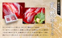 天然本まぐろ！冷凍 赤身切落し お刺身セット500g（100g × 5）小分け 大容量 徳用  個包装 便利 使いやすい食べきりサイズ 生まぐろ丼 海鮮丼 どんぶり 刺身 おつまみ おかず 惣菜 晩ごはん マグロ　鮪