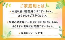 高松産季節の果物＜ご家庭用　デコポン＞約4.5kg【2025年2月下旬～2025年4月上旬配送】