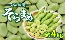 旬の味覚 そらまめ 約4kg【2025年4月下旬～2025年5月下旬配送】