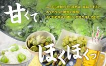 旬の味覚 そらまめ 約4kg【2025年4月下旬～2025年5月下旬配送】