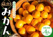 高松産季節の果物＜蔵出しみかん＞約4.6kg×2箱【2025年1月下旬～2025年3月下旬配送】