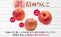 長野県産 りんご シナノピッコロ 訳あり 約3kg リンゴ 旬 フルーツ 訳アリ 林檎 果物 規格外 自家用 産地直送 農園 産直 お取り寄せ もぎたて 採れたて 送料無料 堀田農園 信州 大町市