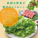 サンチュ（6パック）とフリルレタス（4パック）の焼肉野菜セット