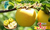 長野県産 りんご シナノゴールド 訳あり 約3kg リンゴ 旬 フルーツ 訳アリ 林檎 果物 規格外 自家用 産地直送 農園 産直 お取り寄せ もぎたて 採れたて 送料無料 堀田農園 信州 大町市