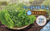 旬の新鮮野菜セット Lサイズ（5種類以上/10～12パック）