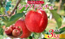 長野県産 りんご シナノドルチェ 訳あり 約3kg リンゴ 旬 フルーツ 訳アリ 林檎 果物 規格外 自家用 産地直送 農園 産直 お取り寄せ もぎたて 採れたて 送料無料 堀田農園 信州 大町市