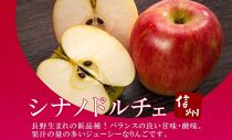 長野県産 りんご シナノドルチェ 訳あり 約3kg リンゴ 旬 フルーツ 訳アリ 林檎 果物 規格外 自家用 産地直送 農園 産直 お取り寄せ もぎたて 採れたて 送料無料 堀田農園 信州 大町市