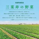 【定期便６回】旬の新鮮野菜セット　Lサイズ（5種類以上/10～12パック）