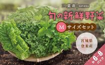 旬の新鮮野菜セット Mサイズ（5種類以上/6～8パック）