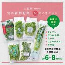 旬の新鮮野菜セット Mサイズ（5種類以上/6～8パック）