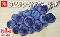 【先行予約】2025　ナガノパープル　２房～3房　約1キロ　長野県産  【9月下旬頃～順次発送予定】国際特許有機肥料栽培