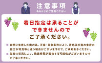 【先行予約】A&nbsp;2026&nbsp;P&nbsp;ナガノパープル粒どり6パック&nbsp;約1kg弱&nbsp;(2026年9月下旬頃～順次発送予定）長野県産&nbsp;&nbsp;国際特許有機肥料栽培｜&nbsp;果物&nbsp;フルーツ&nbsp;ぶどう&nbsp;ブドウ&nbsp;&nbsp;食べきりサイズ&nbsp;人気&nbsp;おすすめ&nbsp;葡萄&nbsp;&nbsp;ギフト&nbsp;送料無料&nbsp;長野県&nbsp;大町市