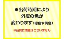 訳あり 加工用 レモン (サイズ混合) 3kg【2024年11月下旬～2025年4月上旬配送】