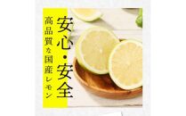 レモン　約2kg【2024年11月下旬～2025年4月上旬配送】