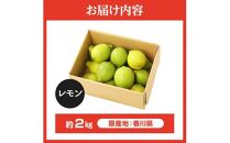 レモン　約2kg【2024年11月下旬～2025年4月上旬配送】