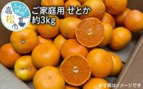 ご家庭用　せとか　約3kg【2025年2月中旬～2025年3月下旬配送】