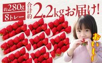 希少ないちご ケーキ用 女峰いちご 約2.2kg【2025年1月上旬～2025年5月下旬配送】