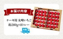 希少ないちご ケーキ用 女峰いちご 約2.2kg【2025年1月上旬～2025年5月下旬配送】