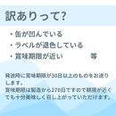 SETOUCHI おまかせ訳ありビール 12缶セット