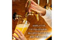 【定期便】クラフトビール定期便 毎月6缶 12ヵ月