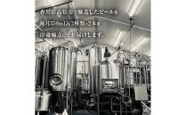 【定期便】クラフトビール定期便 毎月6缶 12ヵ月