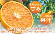 訳あり ご家庭用 清見オレンジ 約7kg【2025-3月中旬～2025-4月上旬配送】