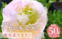 ご家庭用 ラナンキュラス「桃色系てまり」切花 切花50本(長さ25～50cm)【2025-1月中旬～2025-4月上旬配送】