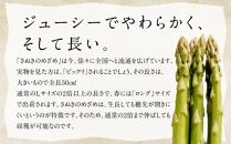 柔らかさと甘みが際立つアスパラガス「さぬきのめざめ(春芽) 約1.3kg【2025-1月下旬～2025-3月下旬配送】