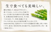 柔らかさと甘みが際立つアスパラガス「さぬきのめざめ(春芽) 約1.3kg【2025-1月下旬～2025-3月下旬配送】