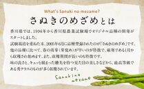 柔らかさと甘みが際立つアスパラガス「さぬきのめざめ(春芽) 約1.3kg【2025-1月下旬～2025-3月下旬配送】