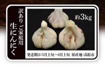 訳あり ご家庭用 生にんにく 約3kg【2025-5月上旬～2025-6月上旬配送】