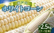 上品な甘さ 瀬戸内 ホワイトコーン 約2.5kg【2024-6月中旬～2024-7月中旬配送】