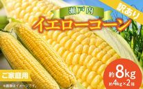 訳あり ご家庭用 瀬戸内イエローコーン 約8kg【2024-6月上旬～2024-7月中旬配送】