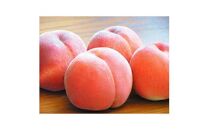 香川の桃&nbsp;化粧箱　約1.8kg【2026-6月中旬～2026-8月上旬配送】
