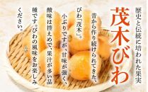 茂木びわ 約1kg (約250g×4パック)【2025-5月中旬～2025-6月中旬配送】