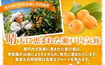 茂木びわ 約1kg (約250g×4パック)【2025-5月中旬～2025-6月中旬配送】