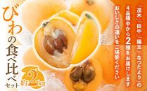 びわの食べ比べセット 約2kg【2025-5月上旬～2025-6月中旬配送】